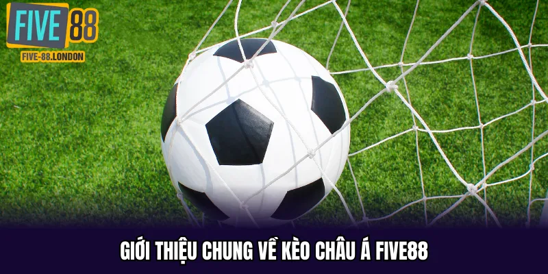 Giới thiệu chung về kèo châu Á Five88