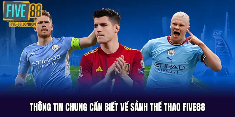 Thông tin chung cần biết về sảnh thể thao Five88